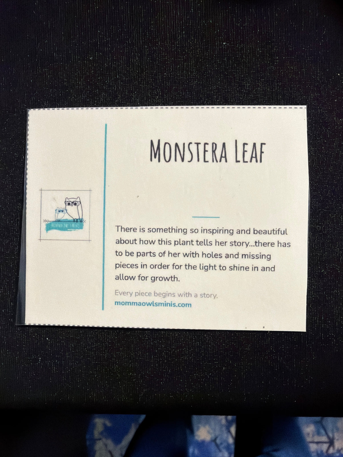 Monastera Leaf