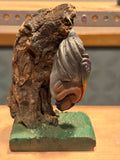 Chrysalis