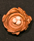 Bird's Nest
