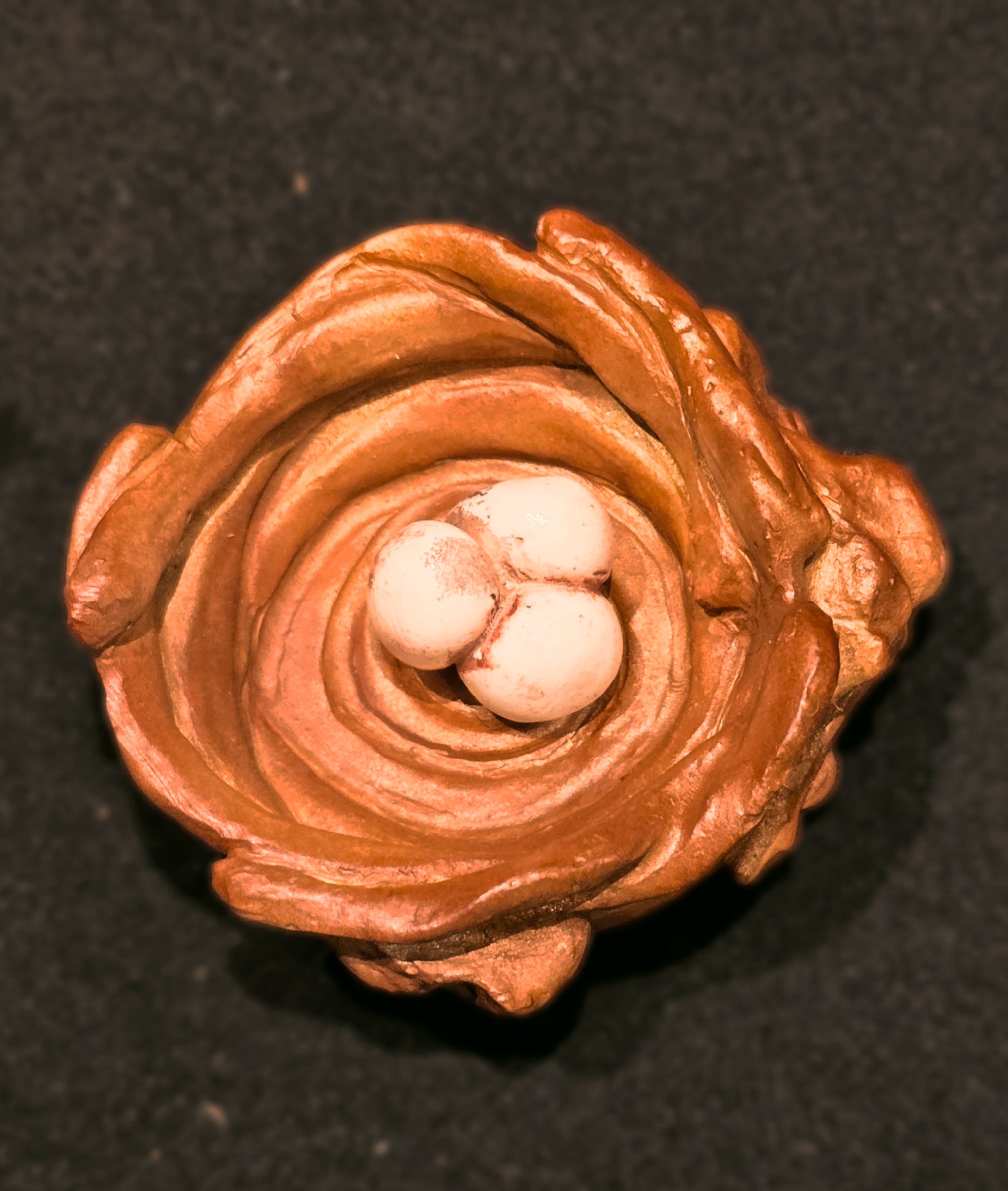 Bird's Nest